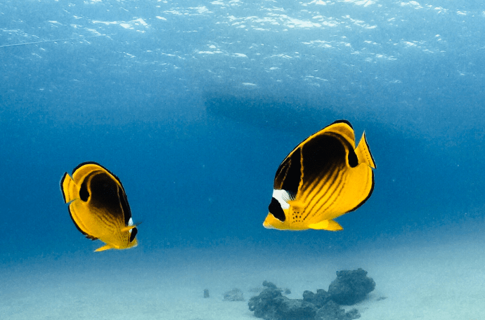 私たちについての写真