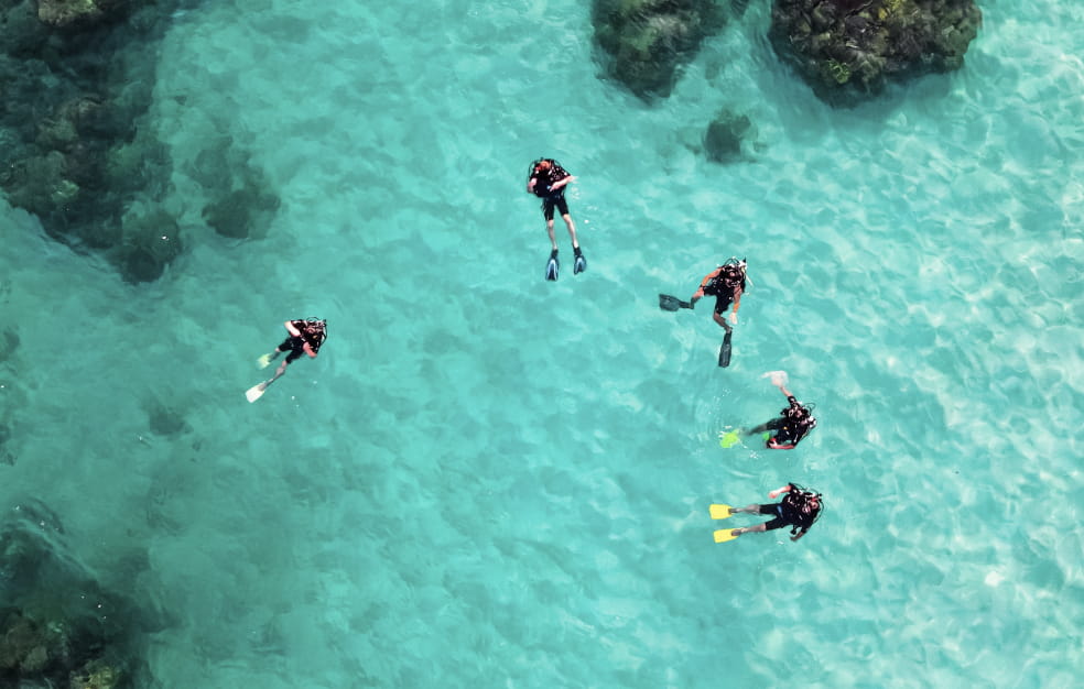 海面に浮かぶ5人のダイバー