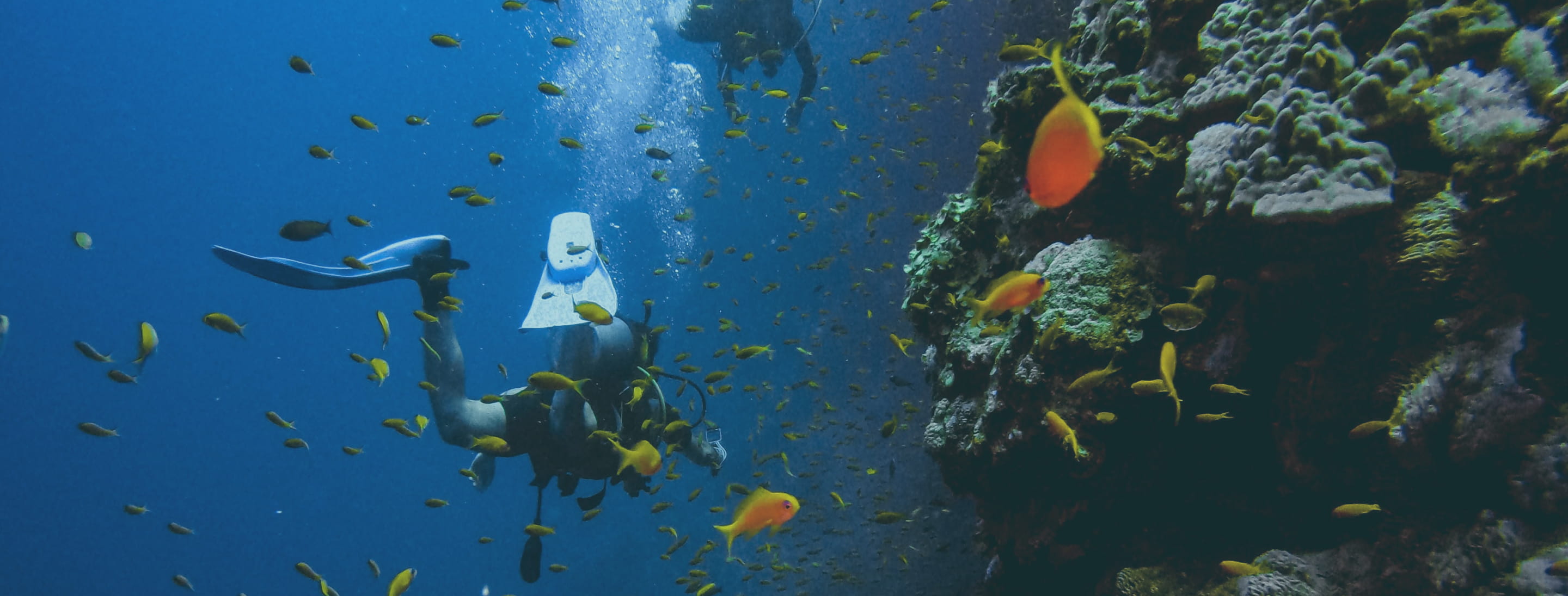 海中の岩場で潜水する人